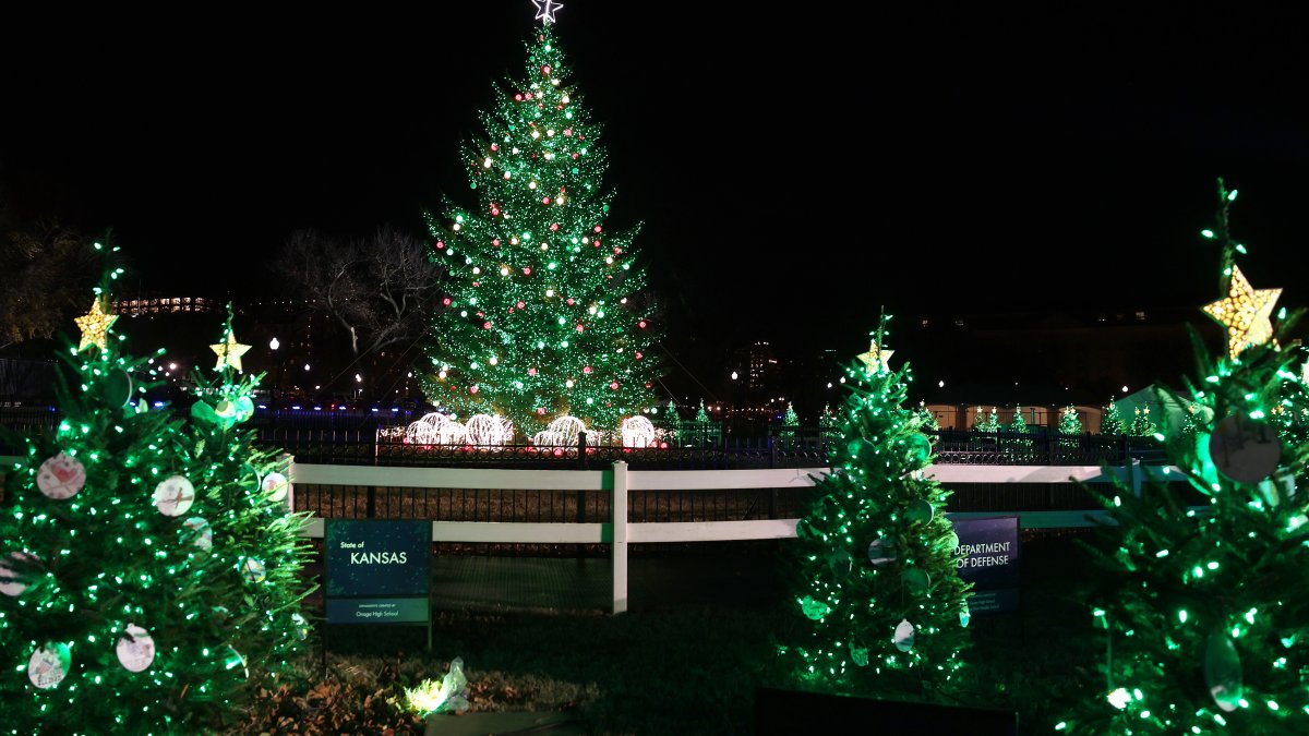 Biden lights National Christmas Tree outside White House NECN