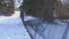 ‘LET THEM SLED': Fence pits sledders against flowers in Wellesley