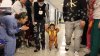 ‘Christmas gift': Toddler born premature finally gets to go home from hospital