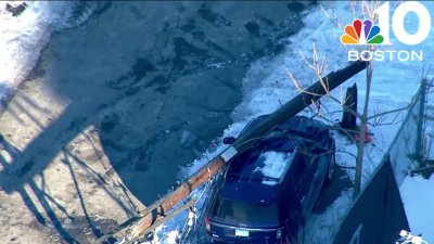 Utility falls onto parked car in Waltham