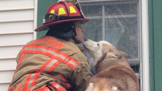 Good Boy! Dog Gives Firefighter Kiss During Roof Rescue